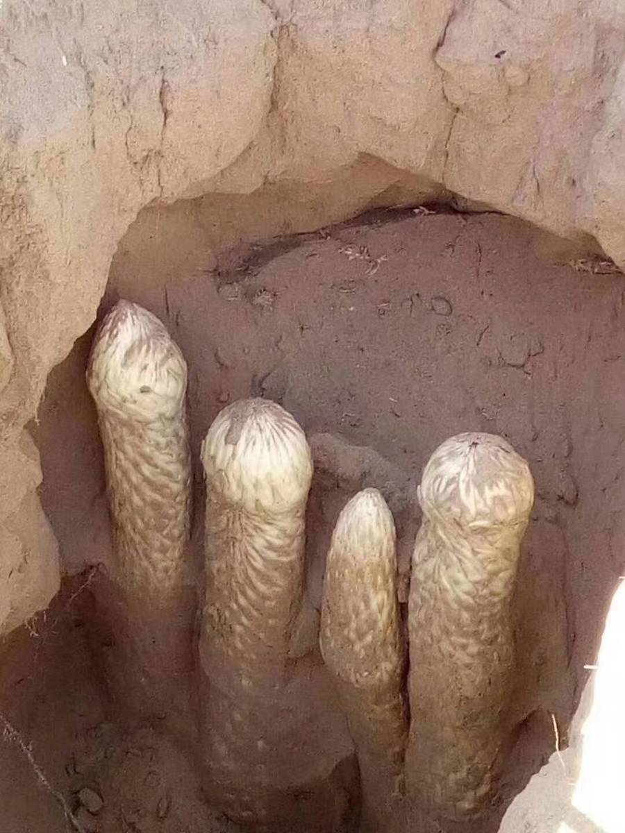商品图片2