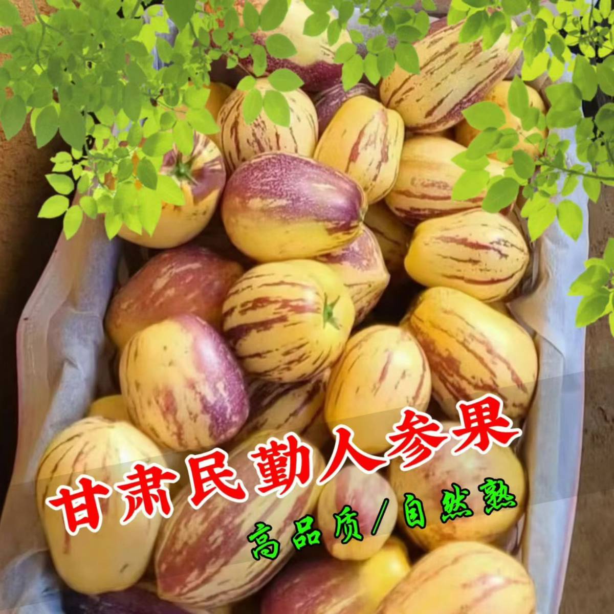 商品图片5