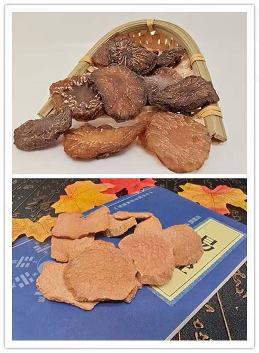 锁阳  苁蓉