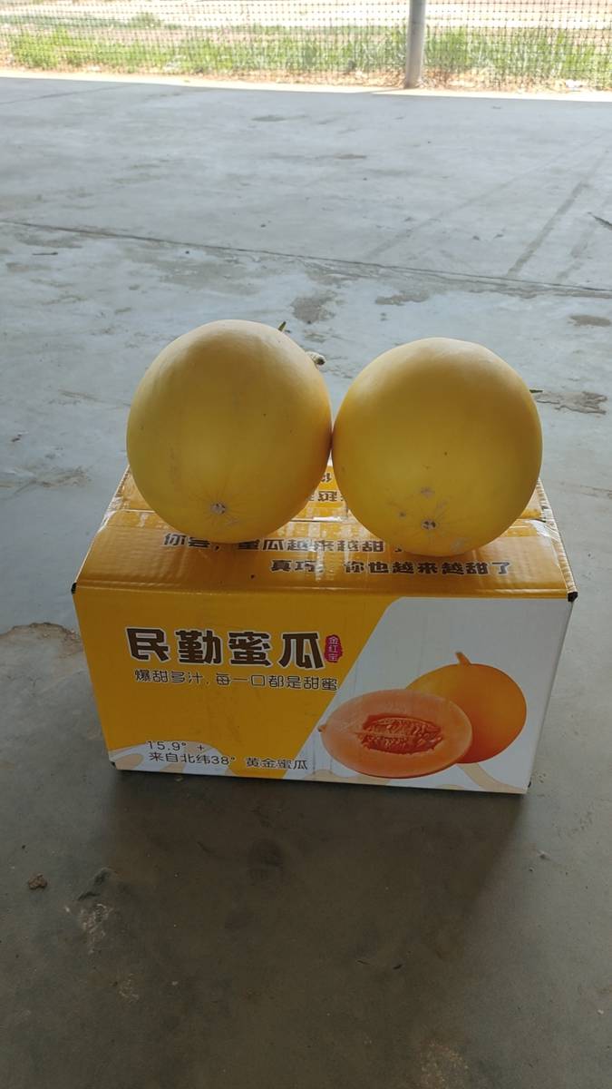 商品图片5